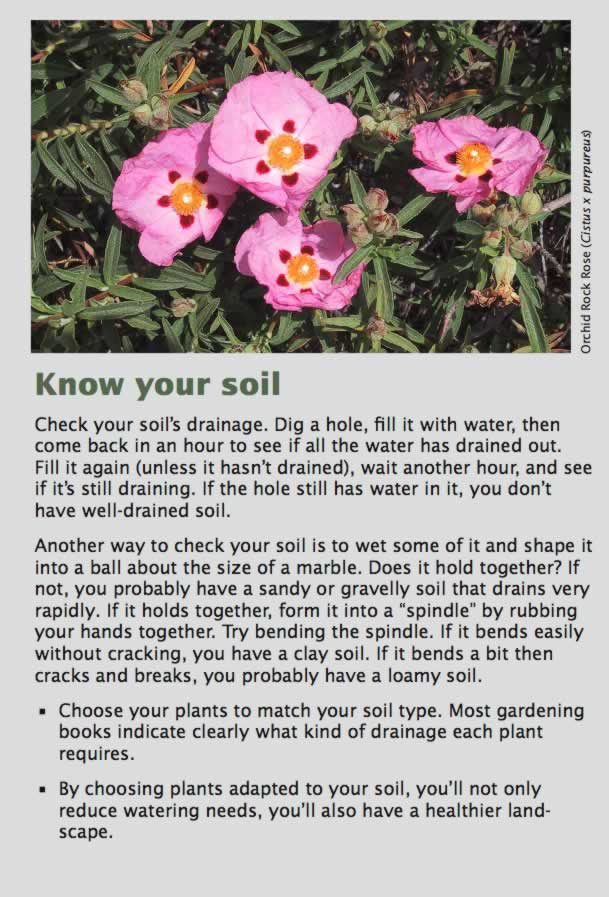 Know your soil