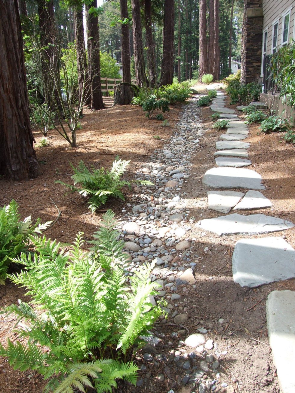 Gravel and Pavers in Forest