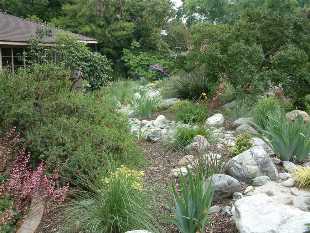 Dry Creek Bed from the Other End