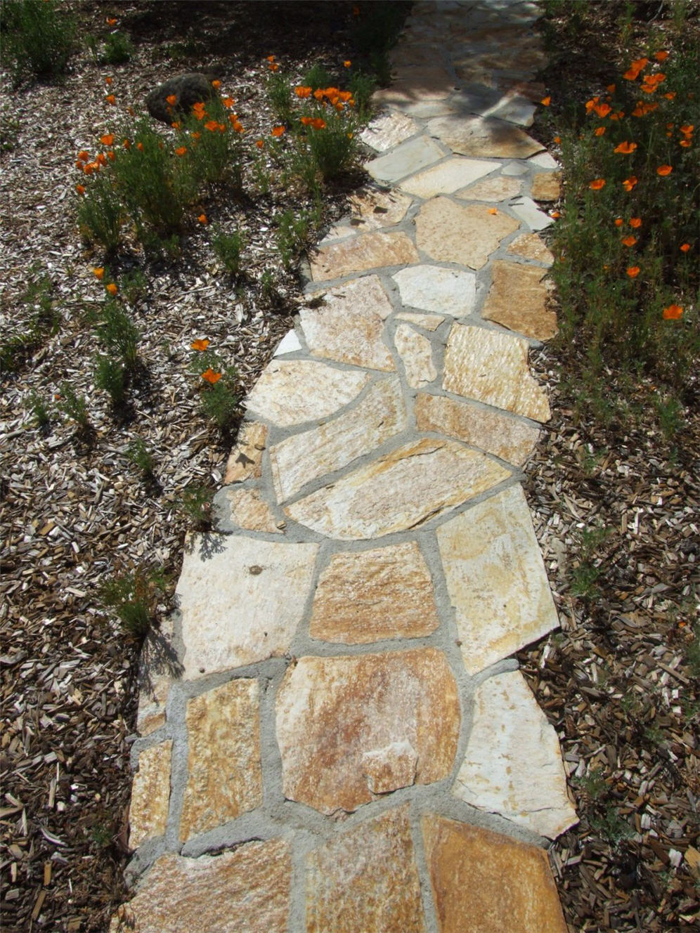 Paver Mosaic