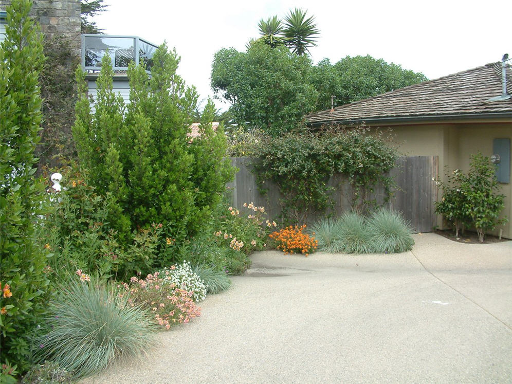 Driveway Edged with Perennials