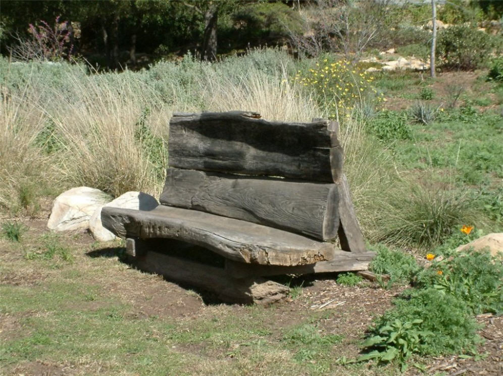 Rustic Bench