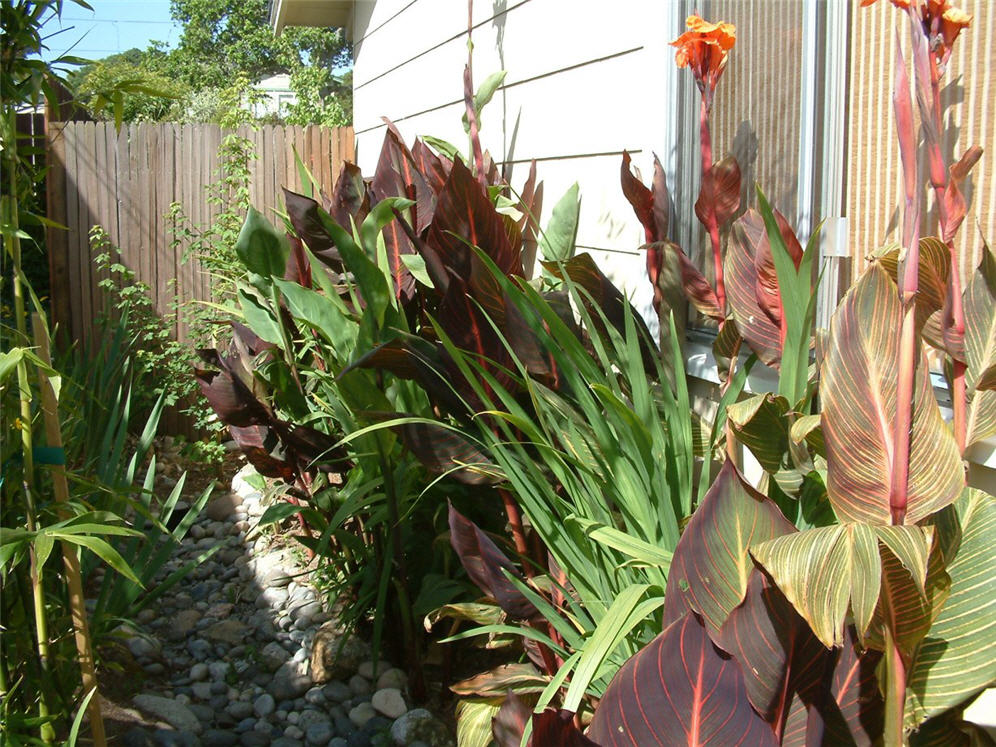 Tiki-Look Torches