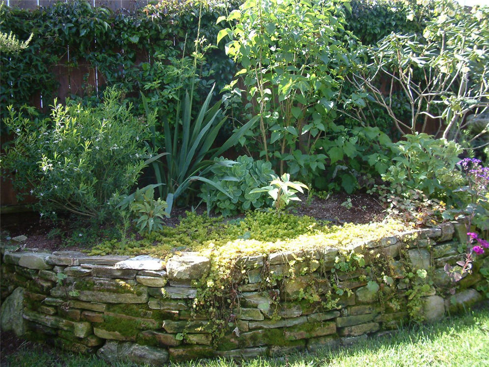 Ancient Look Wall and Garden