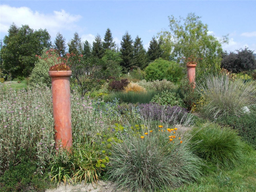 Plant Pillars