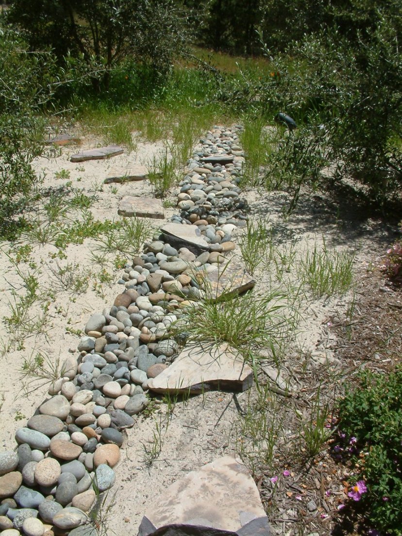 Narrow Bed of River Rocks