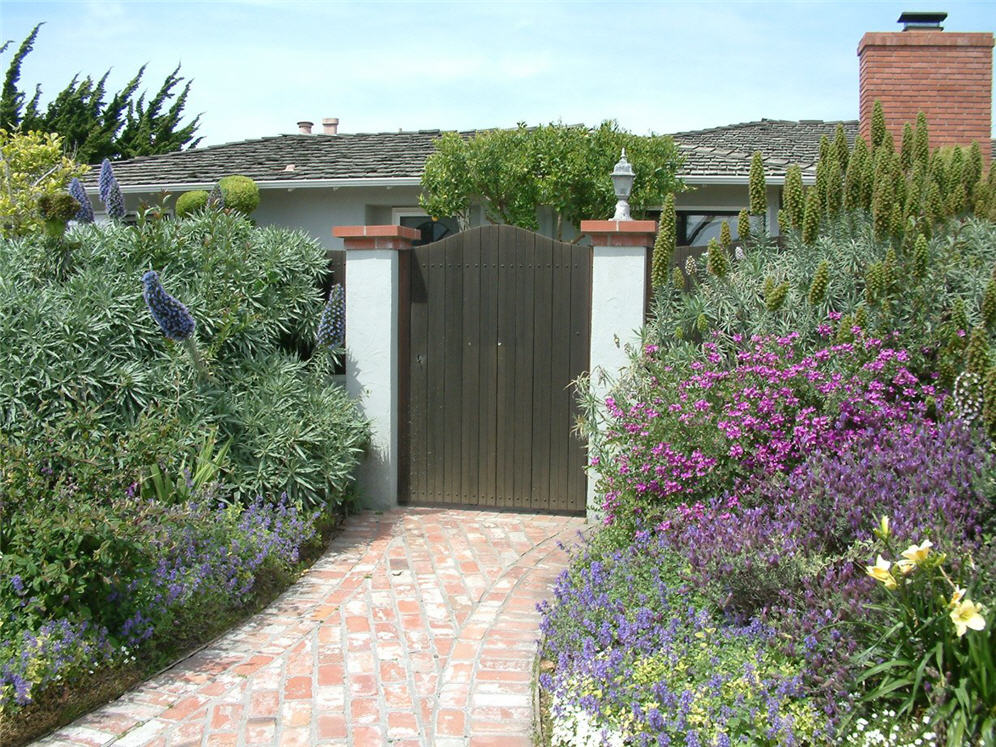 Gate Flanked by Echium