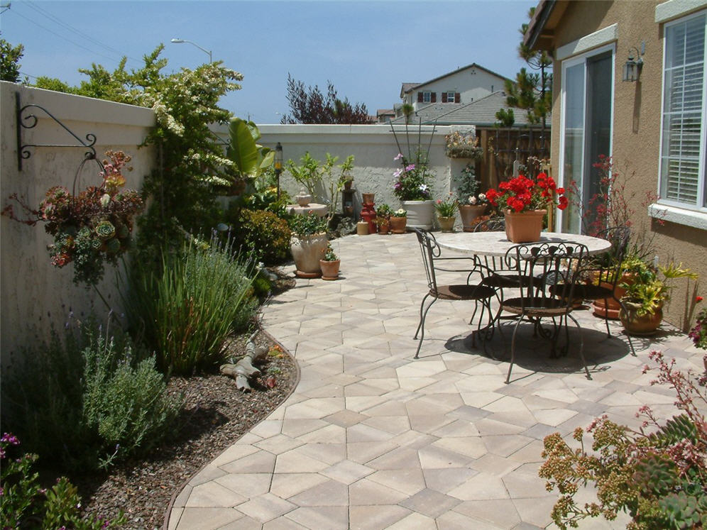 Patio Hugged by Plants