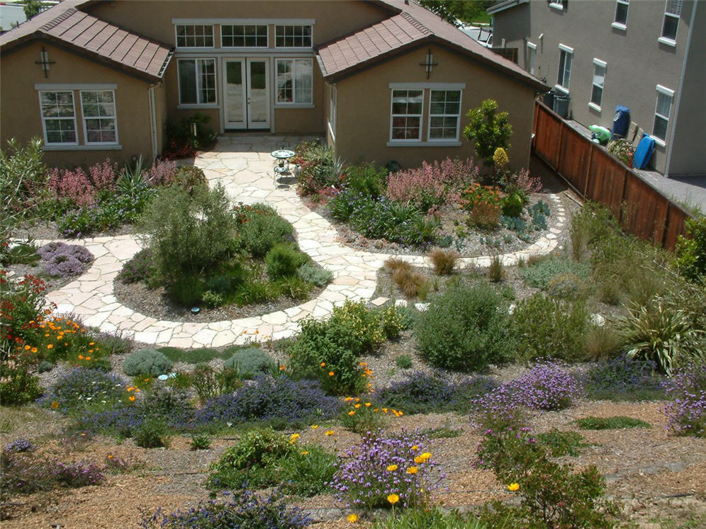 Hillside Above Circles of Color