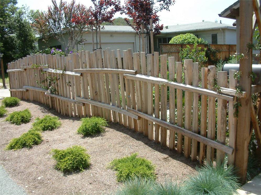 Grasses and Junipers