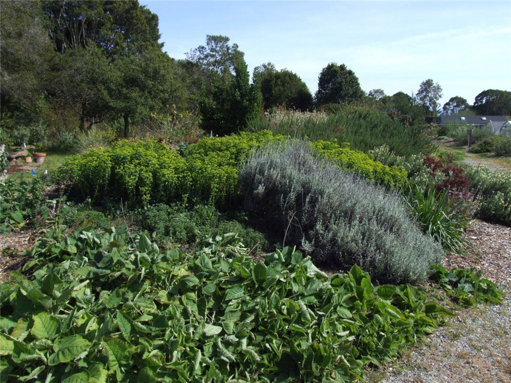 Horticulture Outdoor Lab