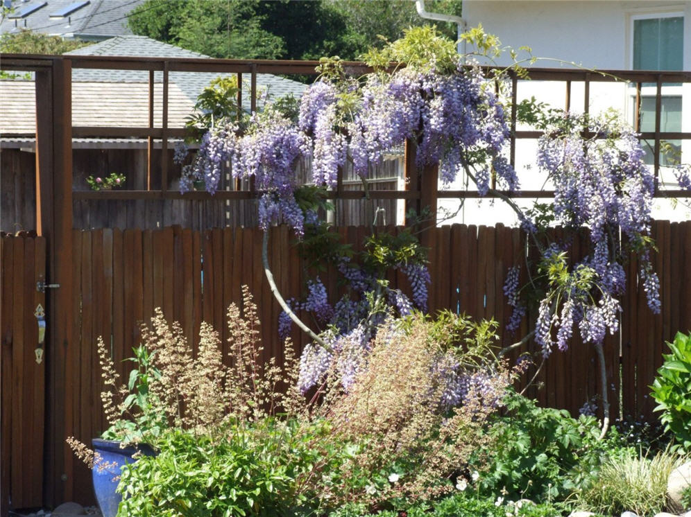 Open Look Fencing