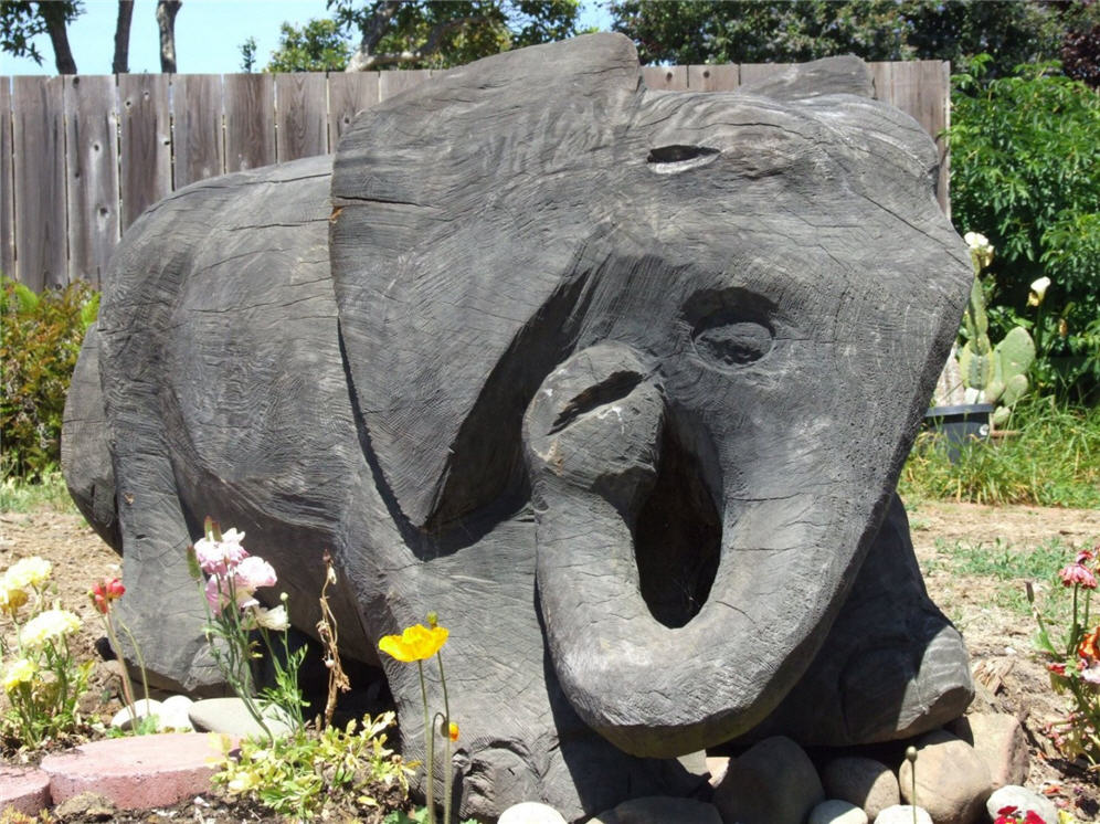 Elephant in the Garden