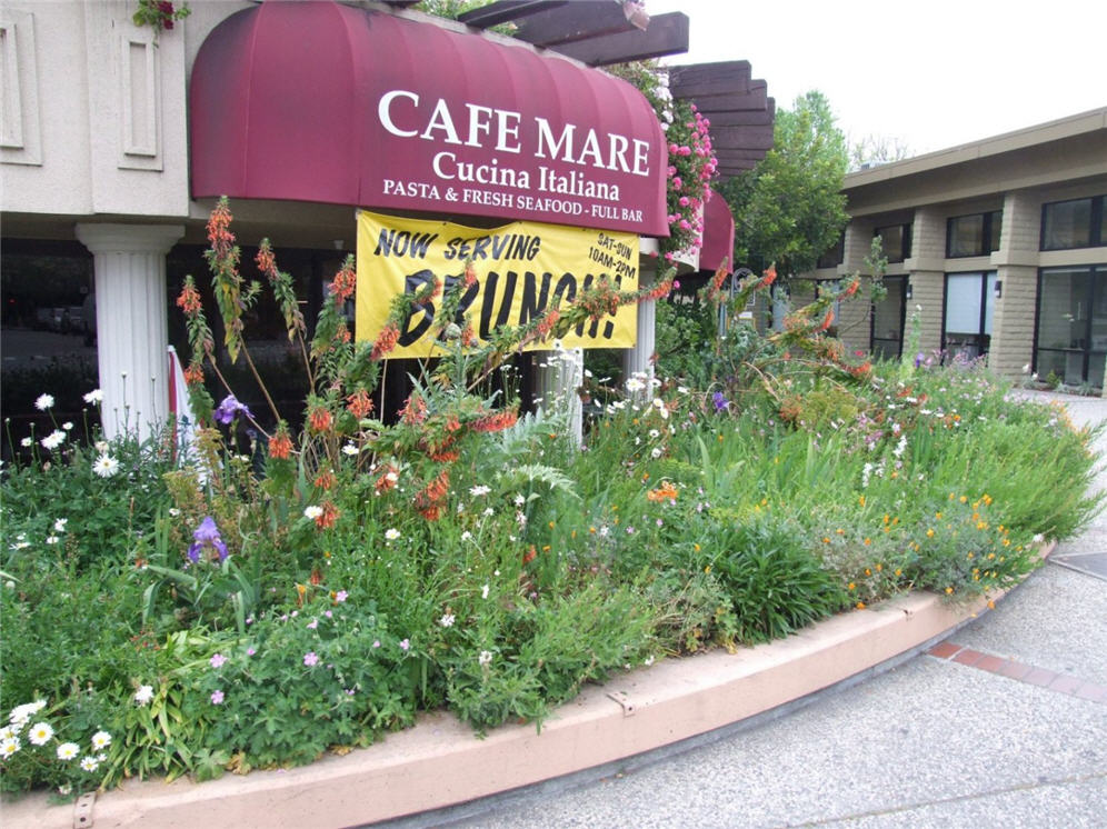 Cafe Mare Planting Bed