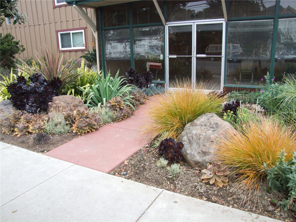 Color Wheel Garden