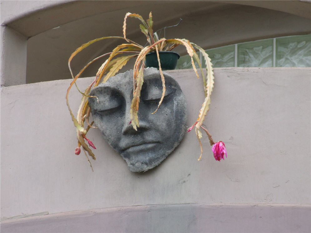 Woman's Face and Plant Hair