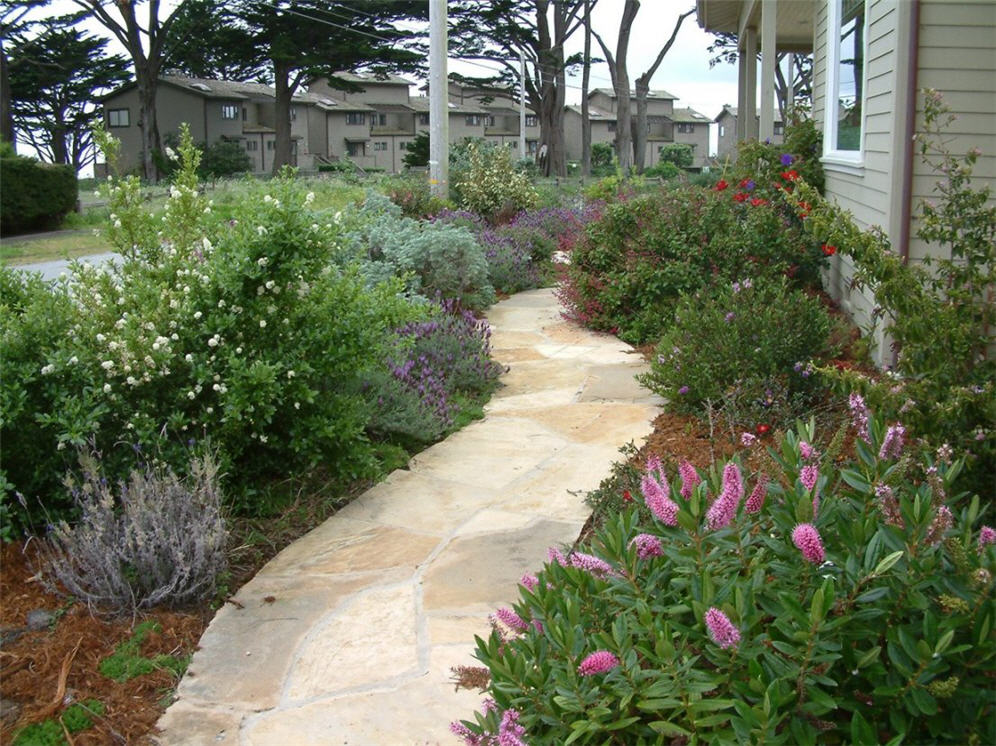 Color-Lined Path