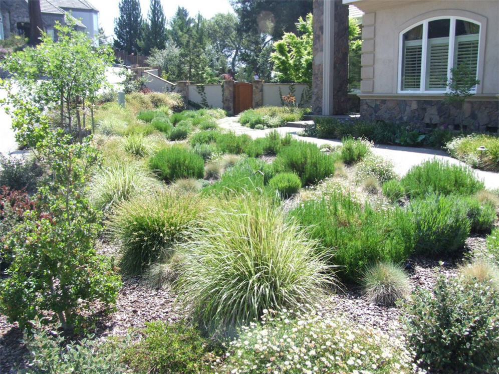 Clumps of Verdant Green