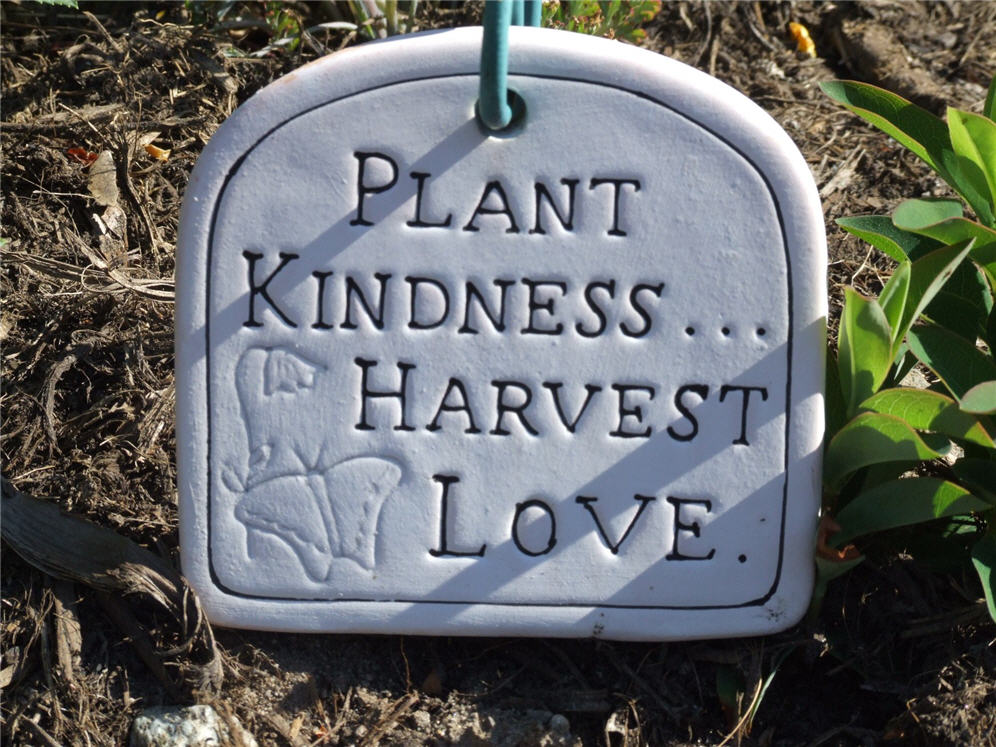 Plant Kindness; Harvest Love