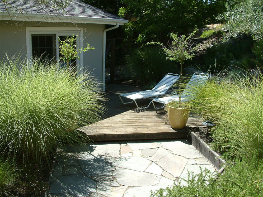 Deck, Pavers and Grasses