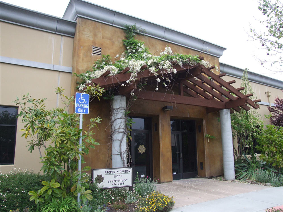 Wisteria on Overhang