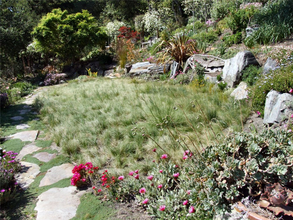 Verdant Hillside