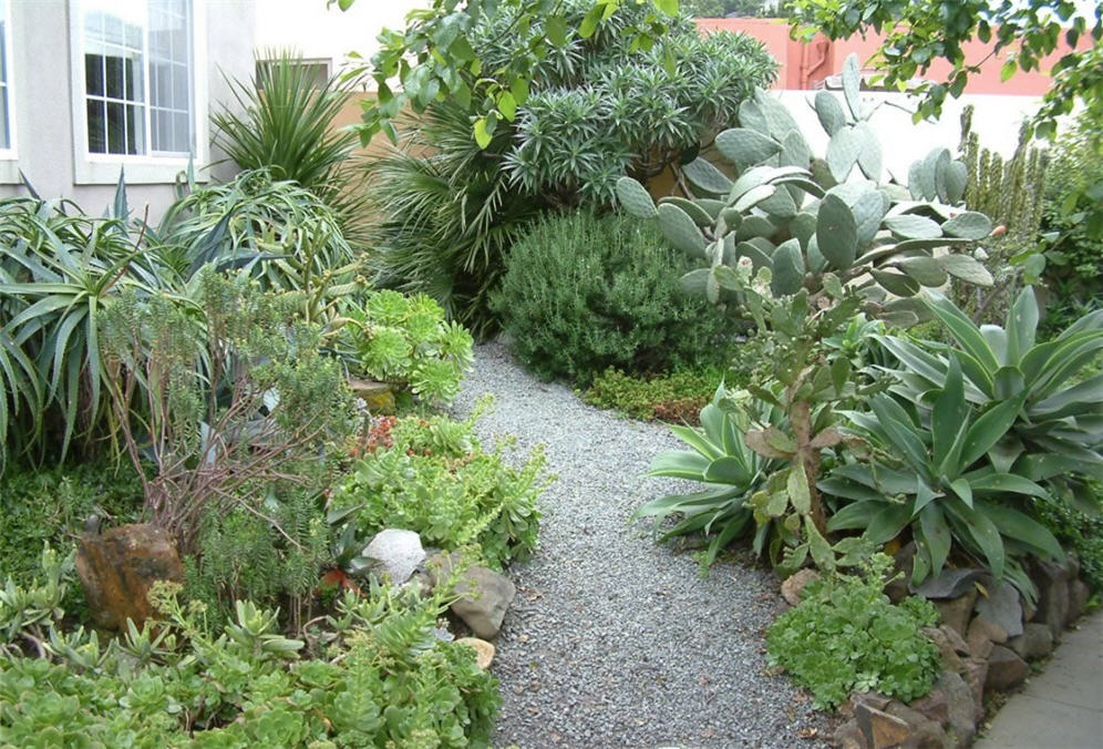 Succulent Pathway