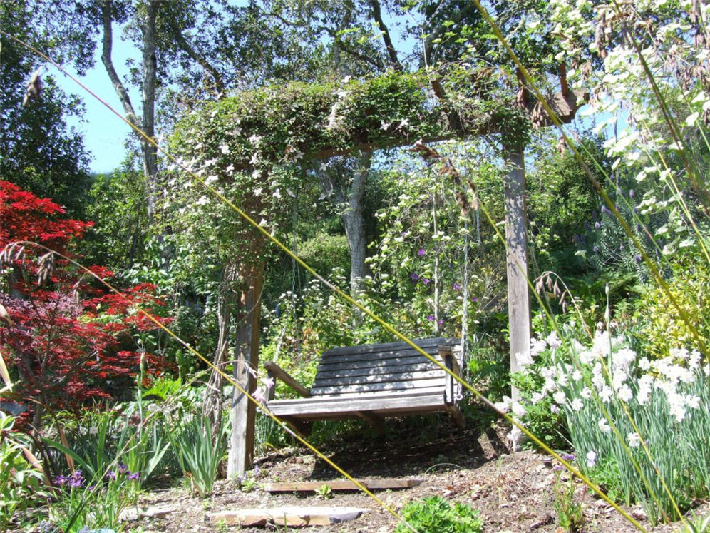 Bench Under Arbor