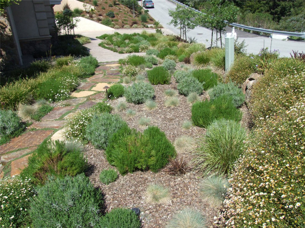 Shrub Mass Garden