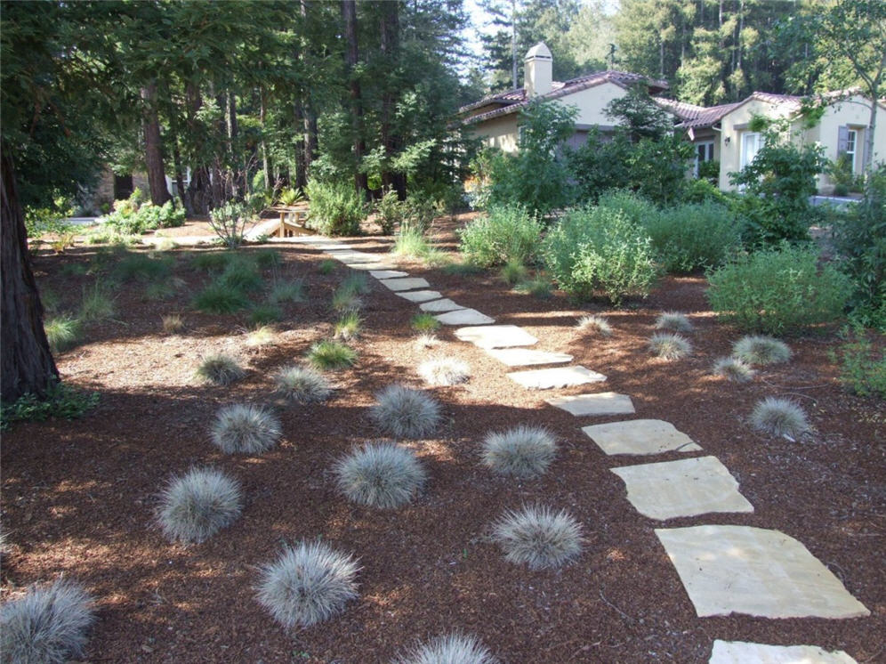 Pavers Lead to Forest